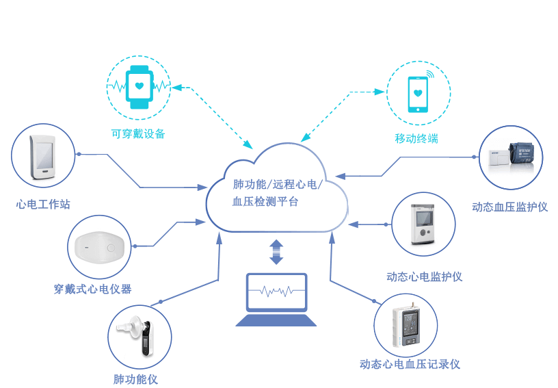 百慧产品树